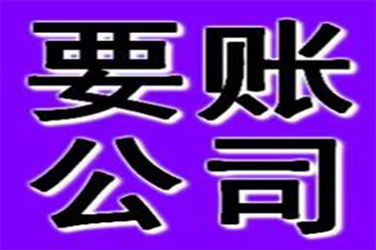 新兴讨账公司